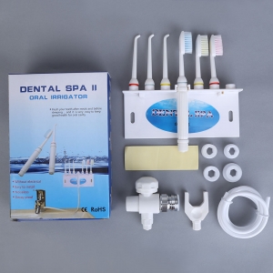 Dental SPA Water Jet Flosser Oral Irrigator Teeth Toothbrush Sets Pick Cleaner